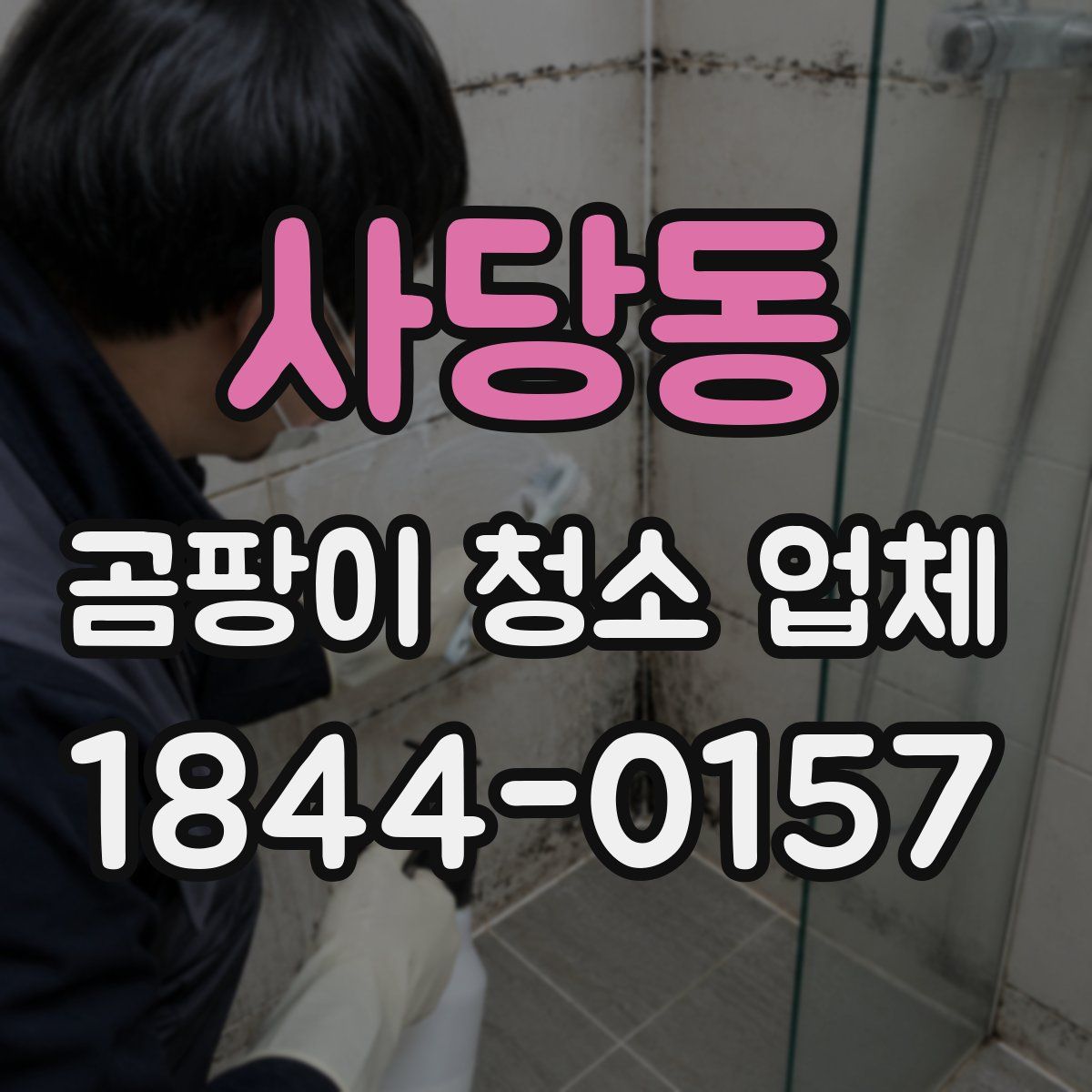 사당동 곰팡이 청소 업체