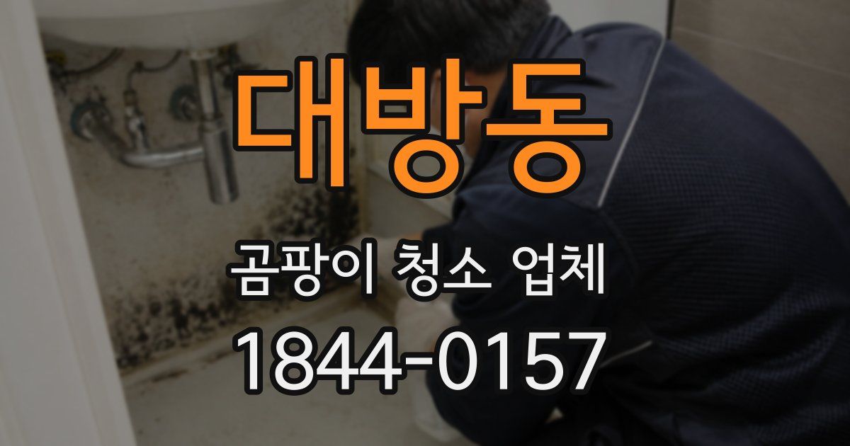 대방동 곰팡이 청소 업체