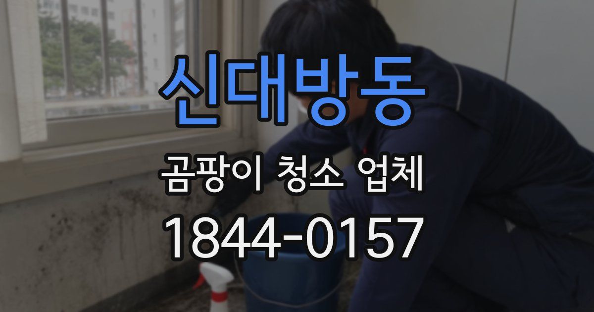 신대방동 곰팡이 청소 업체