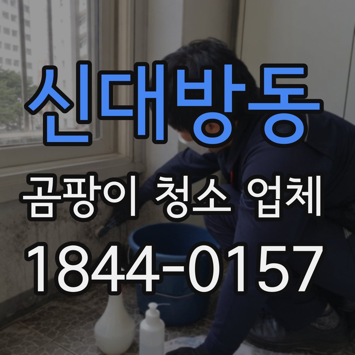 신대방동 곰팡이 청소 업체