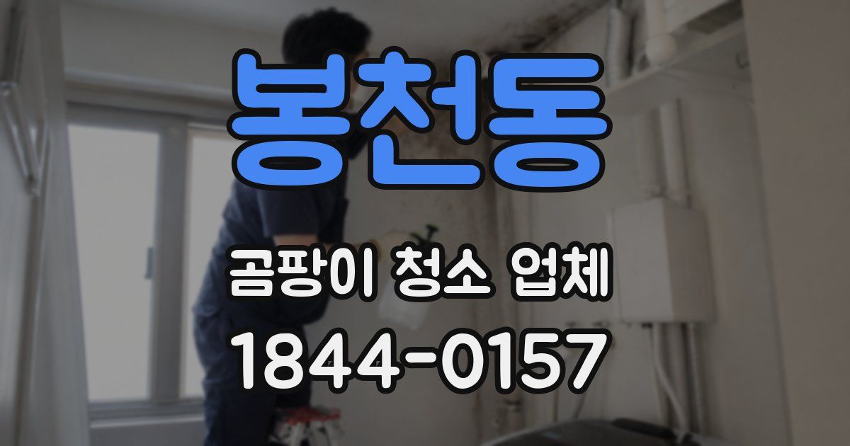 봉천동 곰팡이 청소 업체