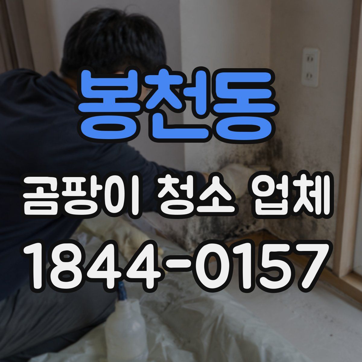봉천동 곰팡이 청소 업체