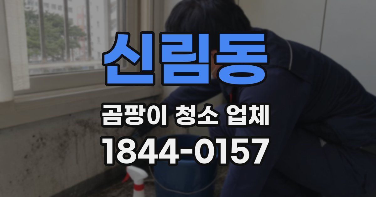 신림동 곰팡이 청소 업체