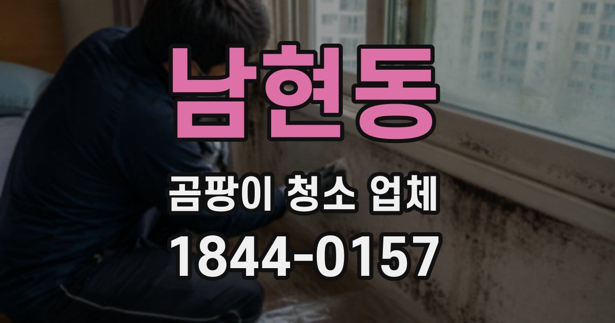 남현동 곰팡이 청소 업체