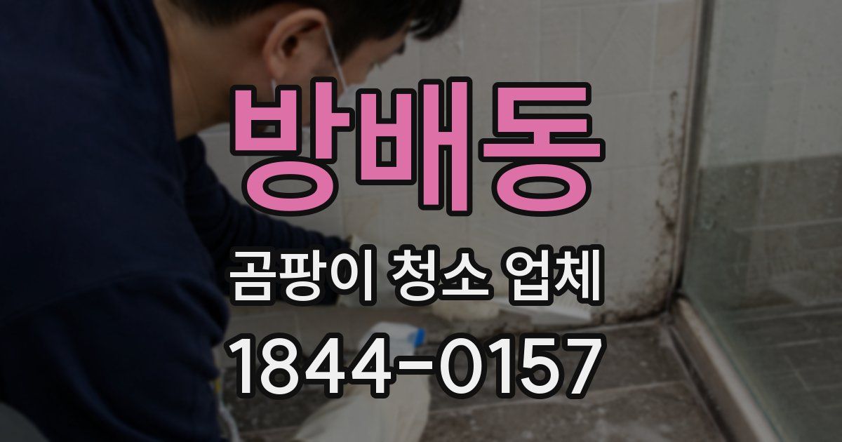 방배동 곰팡이 청소 업체