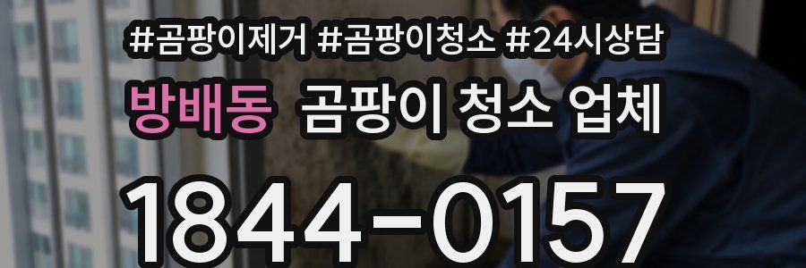 방배동 곰팡이 청소 업체