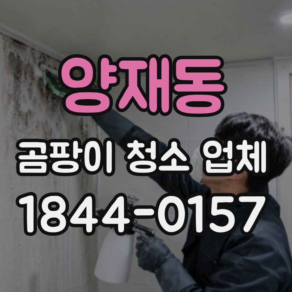 양재동 곰팡이 청소 업체 냄새 원인을 결로와 곰팡이로 구분하는 법