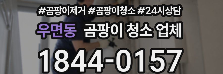 우면동 곰팡이 청소 업체