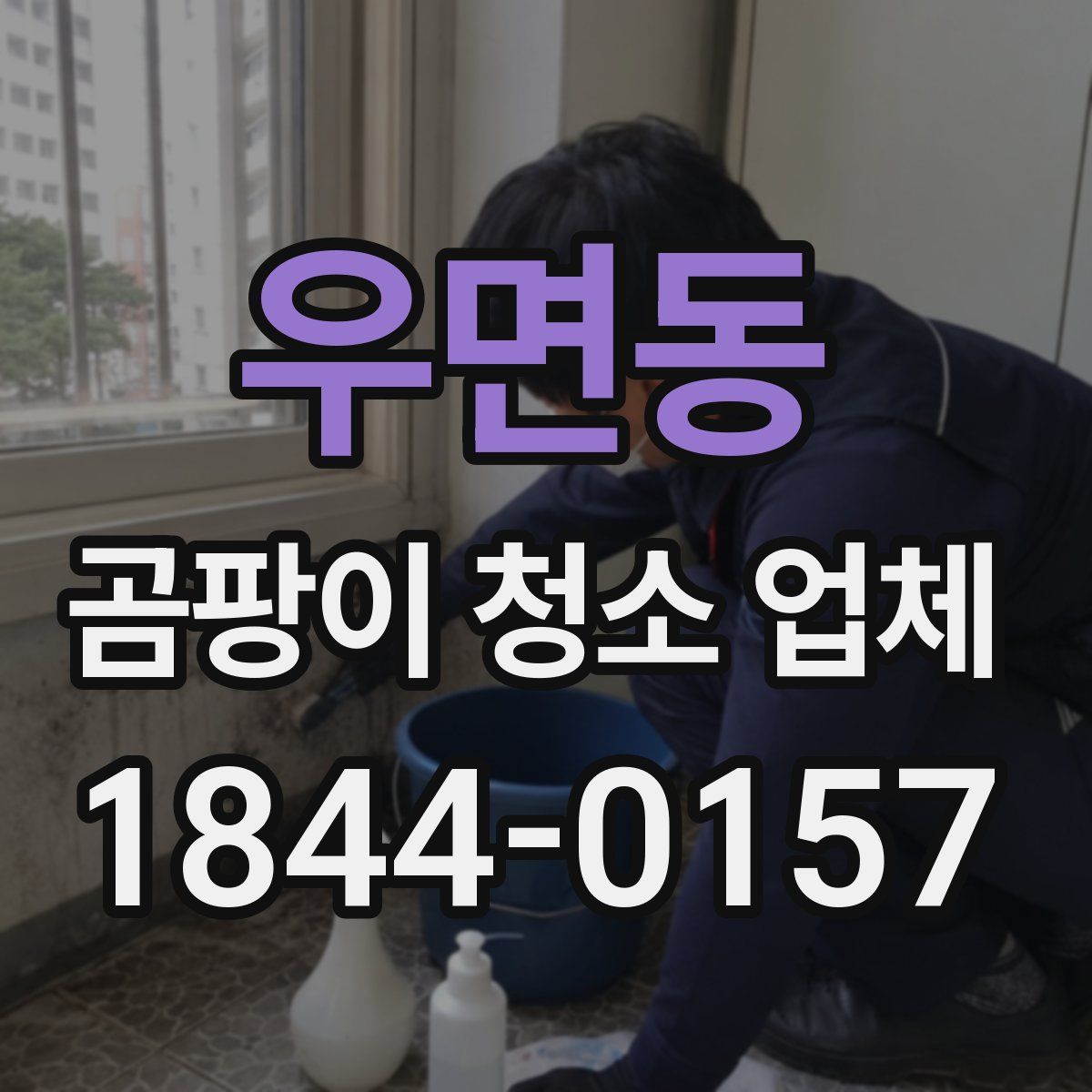 우면동 곰팡이 청소 업체