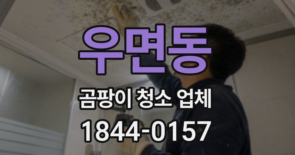 우면동 곰팡이 청소 업체