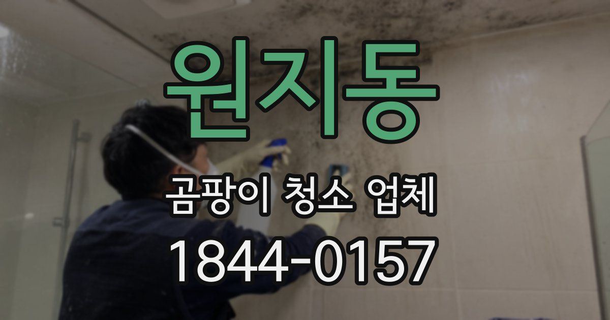 원지동 곰팡이 청소 업체