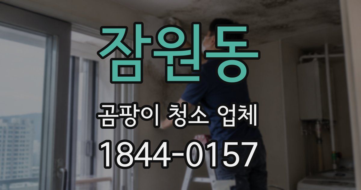 잠원동 곰팡이 청소 업체
