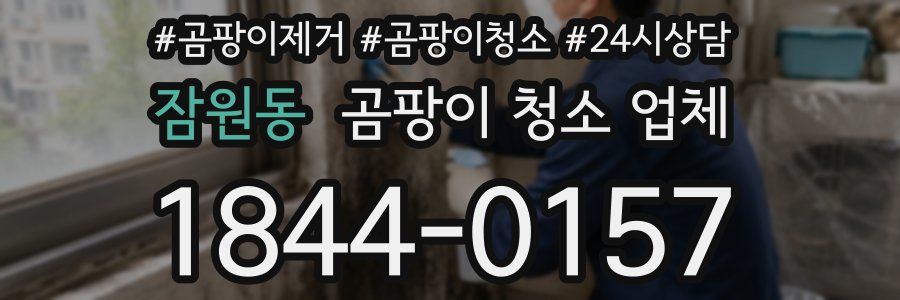 잠원동 곰팡이 청소 업체