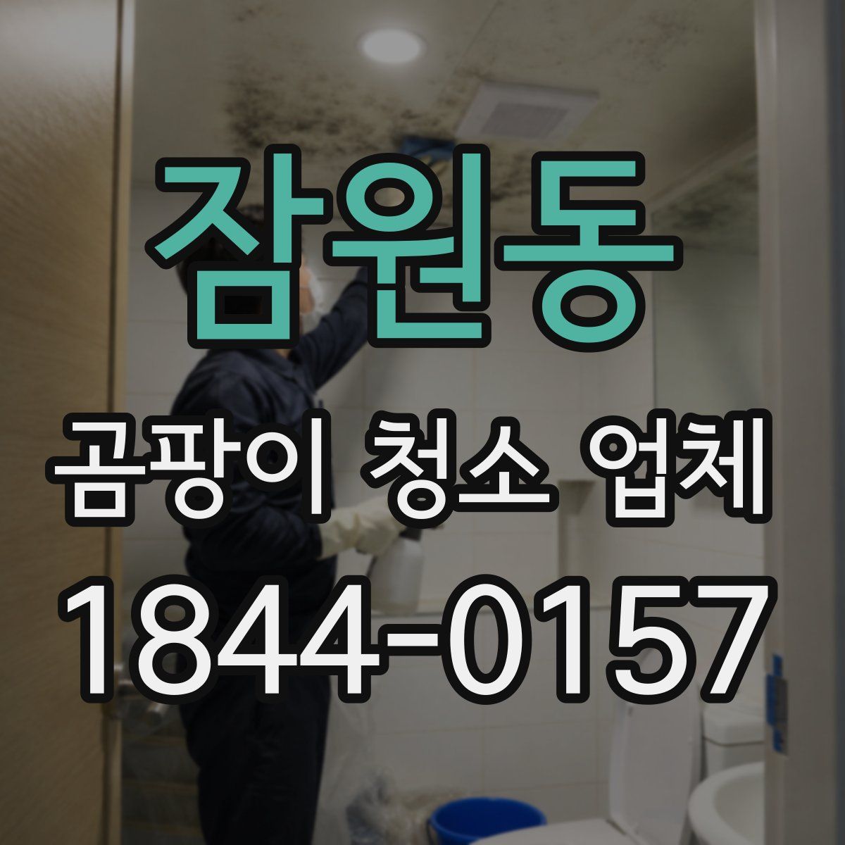 잠원동 곰팡이 청소 업체