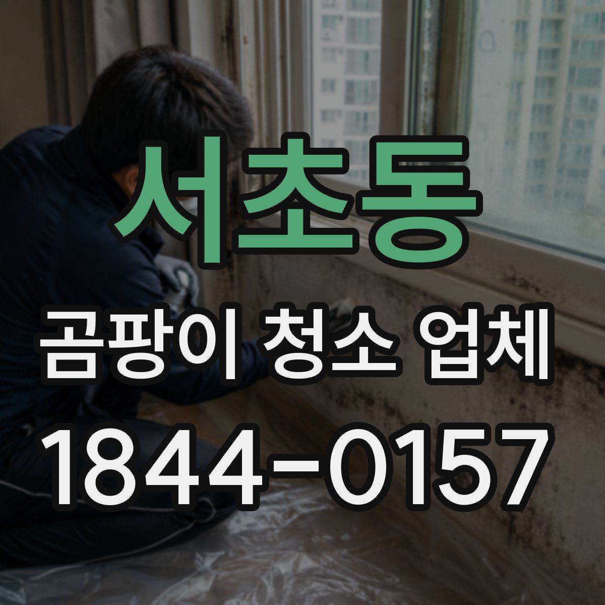 서초동 곰팡이 청소 업체