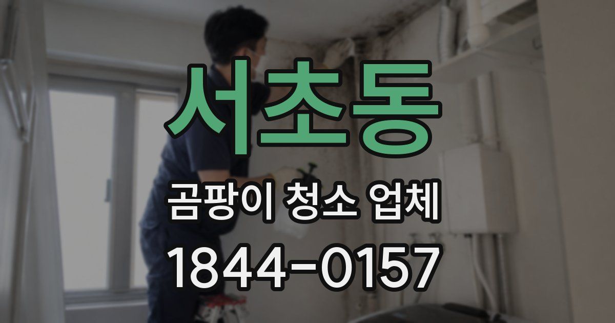 서초동 곰팡이 청소 업체
