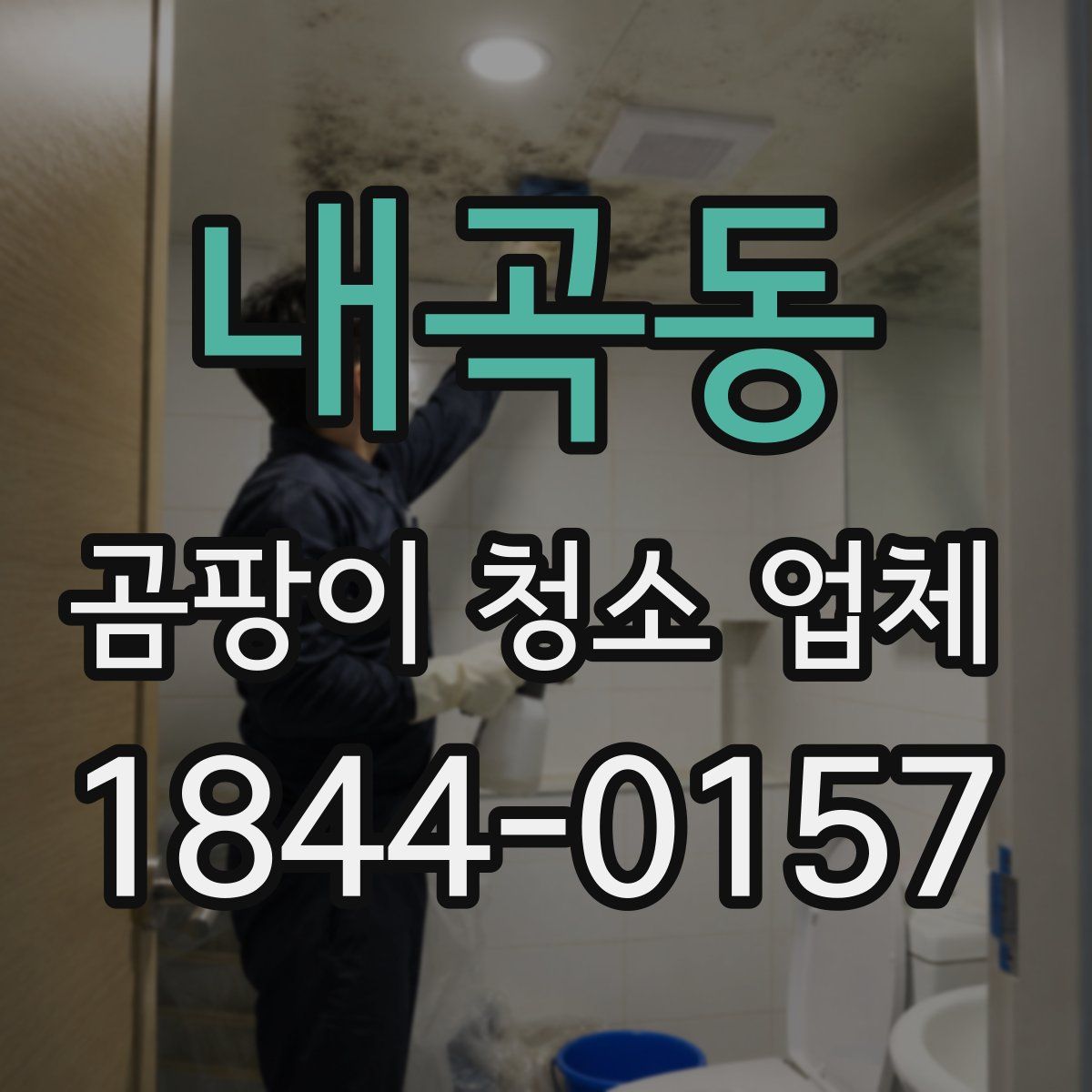 내곡동 곰팡이 청소 업체