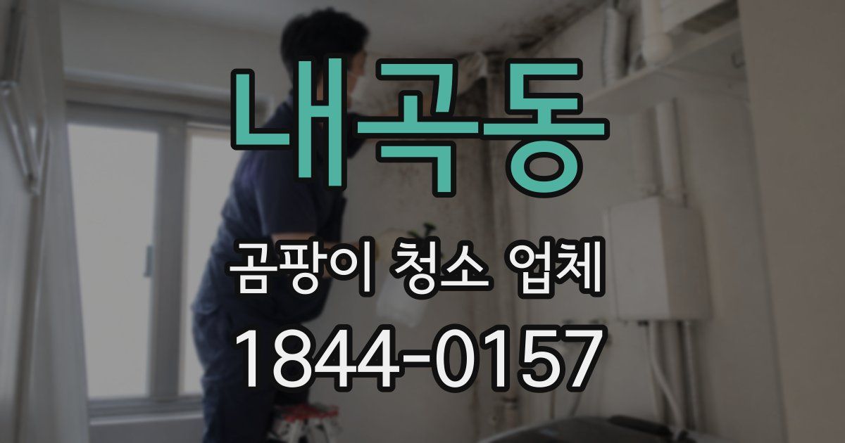 내곡동 곰팡이 청소 업체