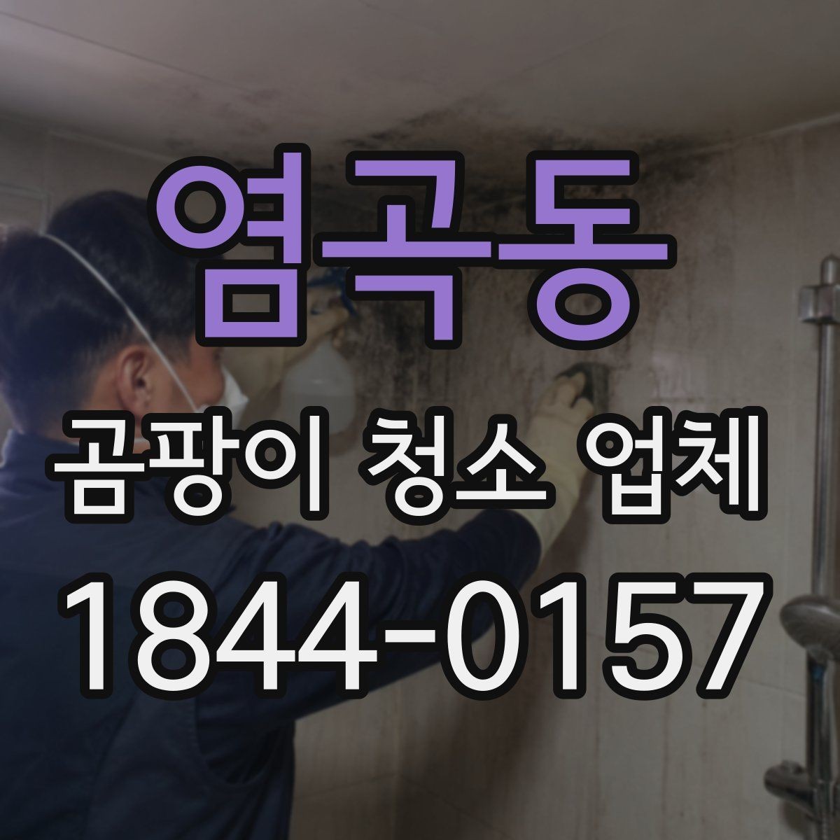 염곡동 곰팡이 청소 업체 아이가 있는 집에서 체크할 안전 기준
