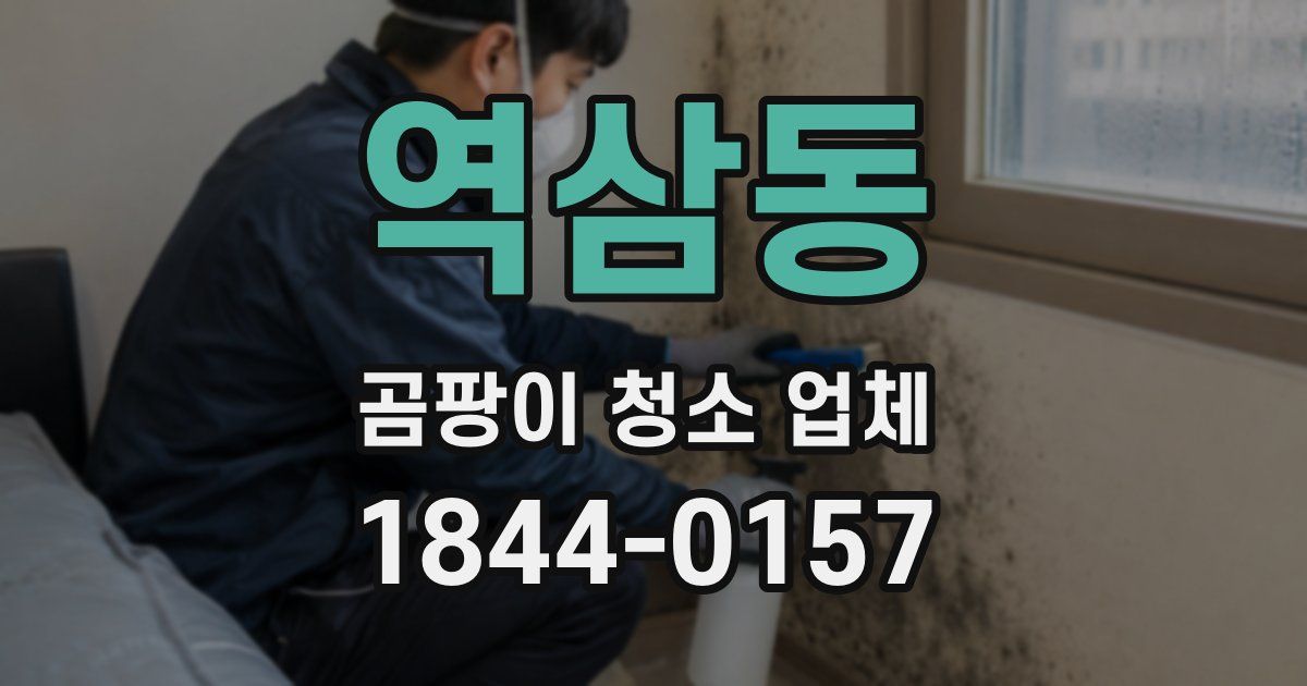 역삼동 곰팡이 청소 업체
