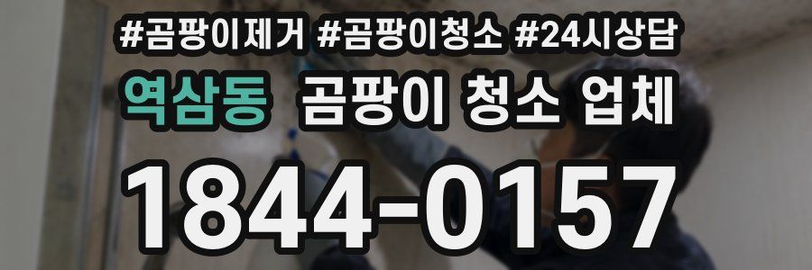 역삼동 곰팡이 청소 업체