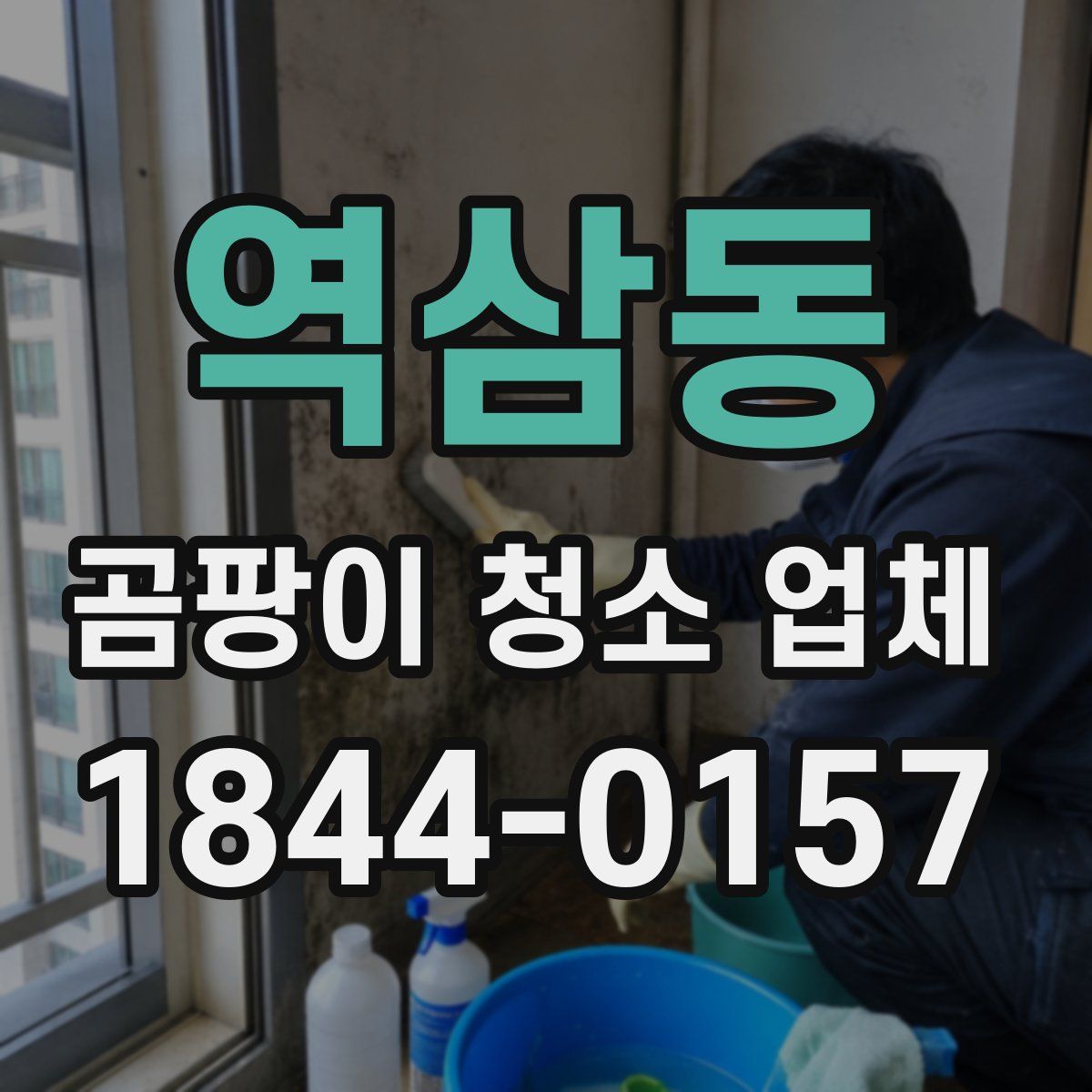 역삼동 곰팡이 청소 업체