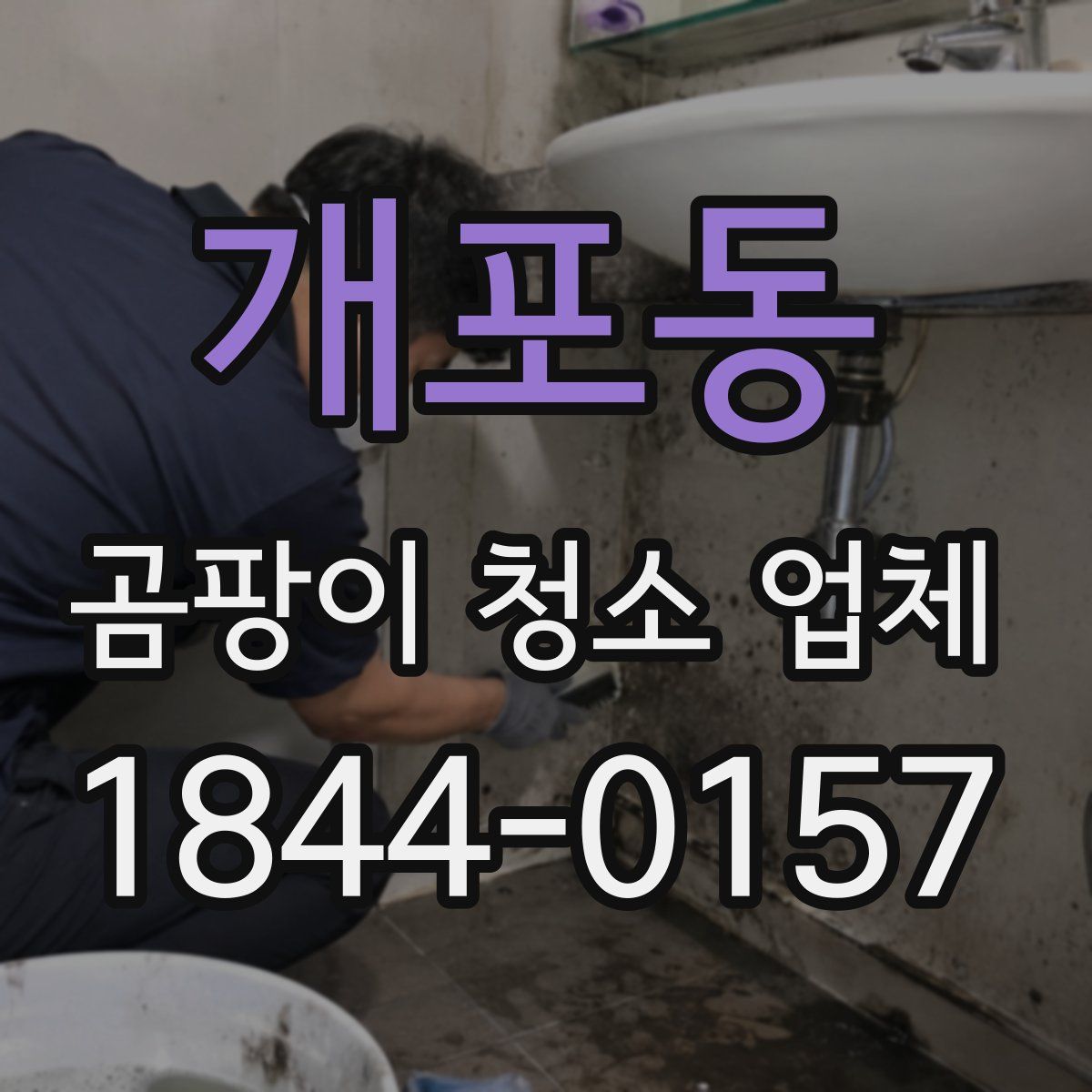 개포동 곰팡이 청소 업체
