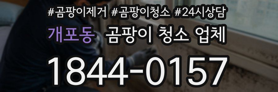 개포동 곰팡이 청소 업체