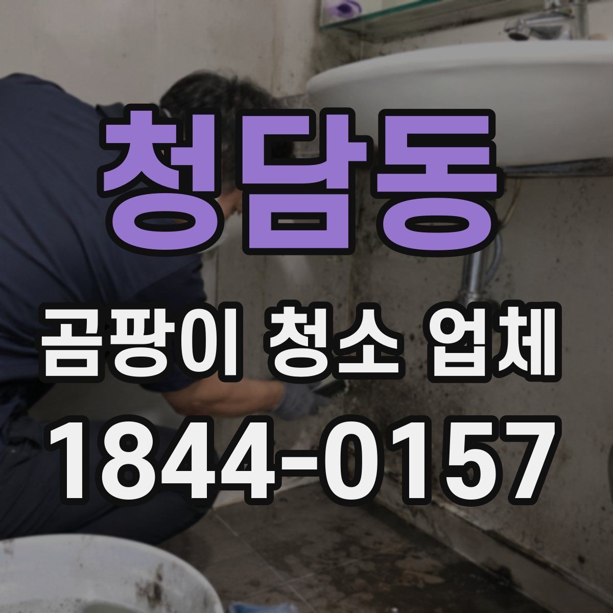 청담동 곰팡이 청소 업체 주방과 거실의 관리 방식이 다른 이유