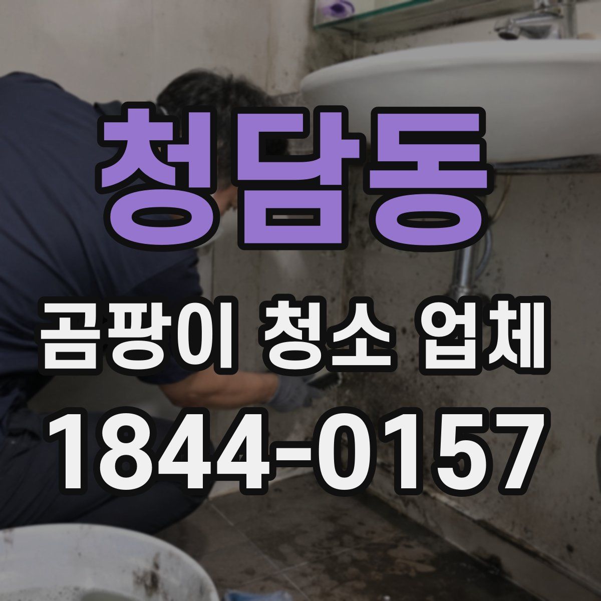 청담동 곰팡이 청소 업체