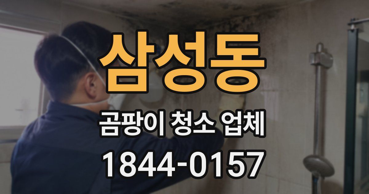 삼성동 곰팡이 청소 업체