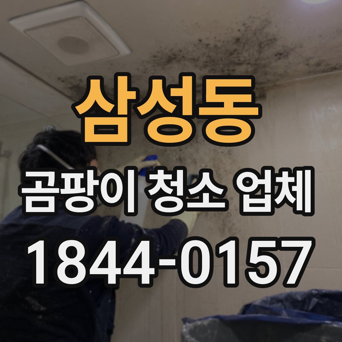 삼성동 곰팡이 청소 업체