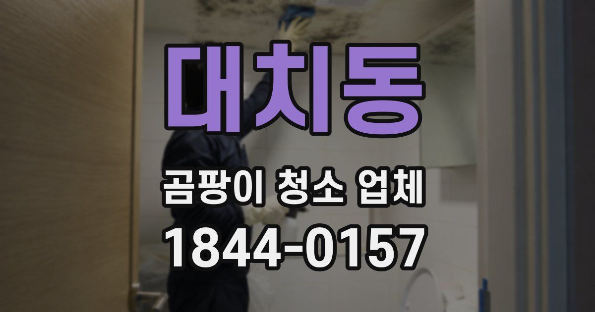 대치동 곰팡이 청소 업체