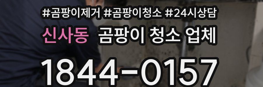 신사동 곰팡이 청소 업체