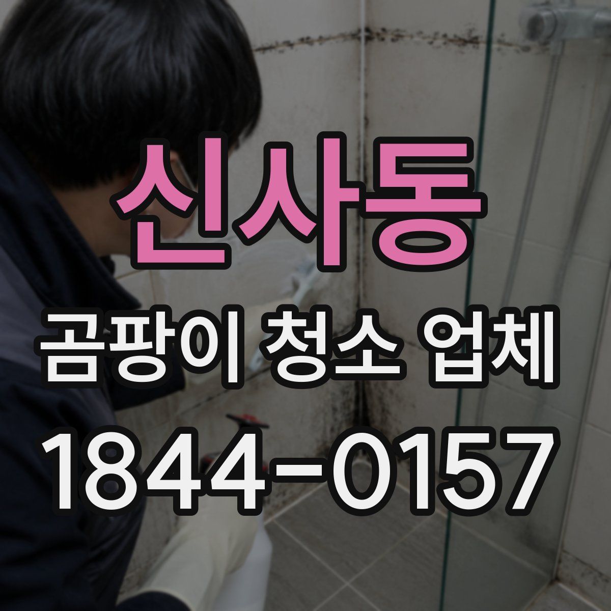 신사동 곰팡이 청소 업체
