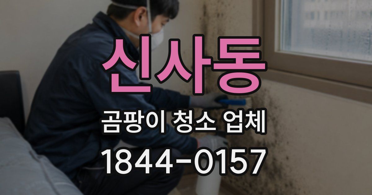 신사동 곰팡이 청소 업체
