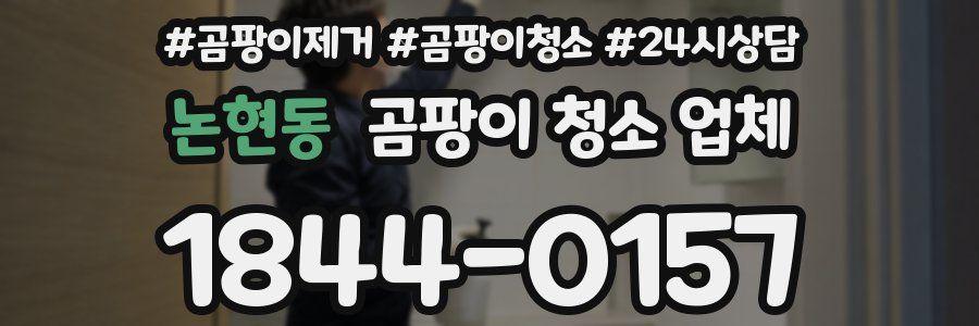 논현동 곰팡이 청소 업체