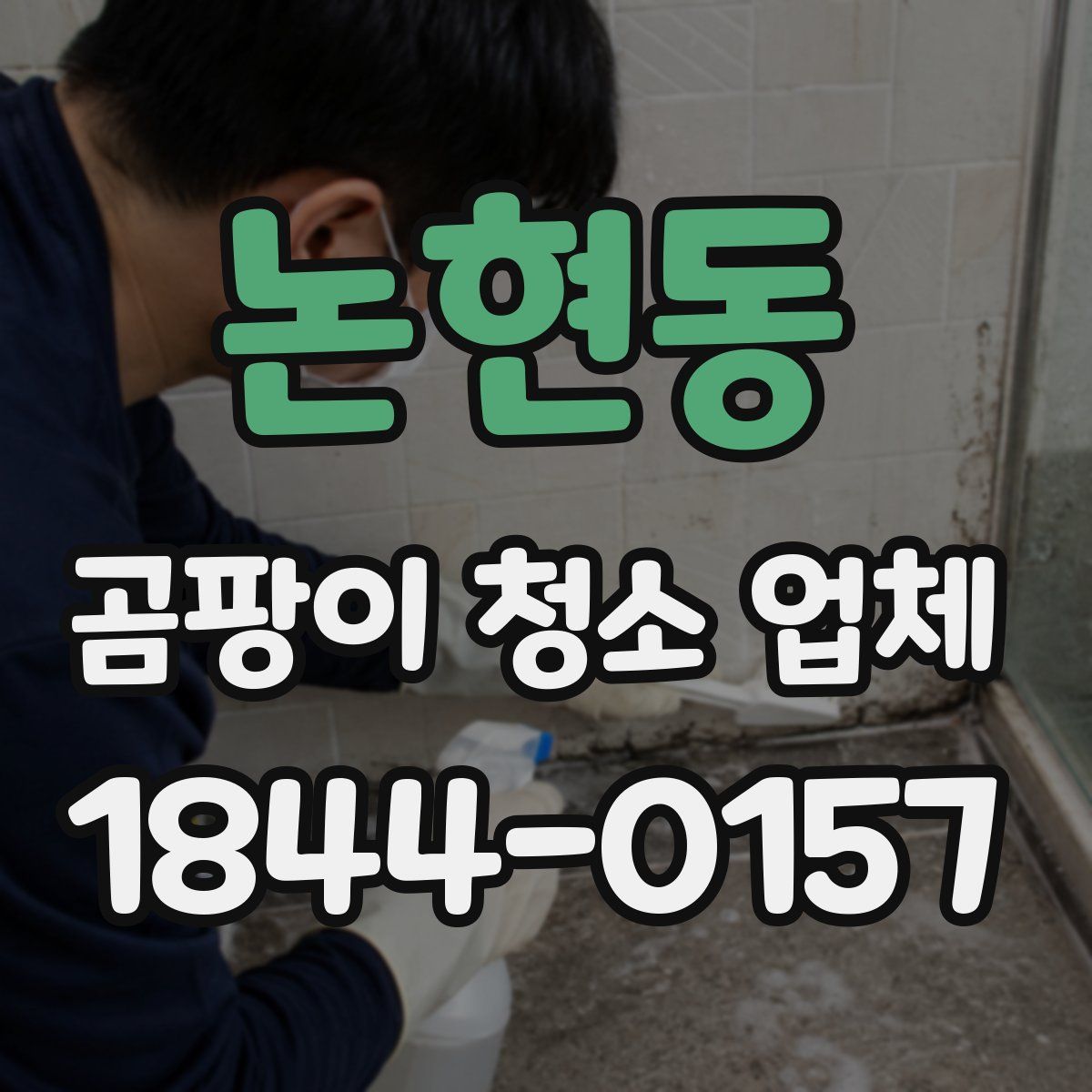 논현동 곰팡이 청소 업체