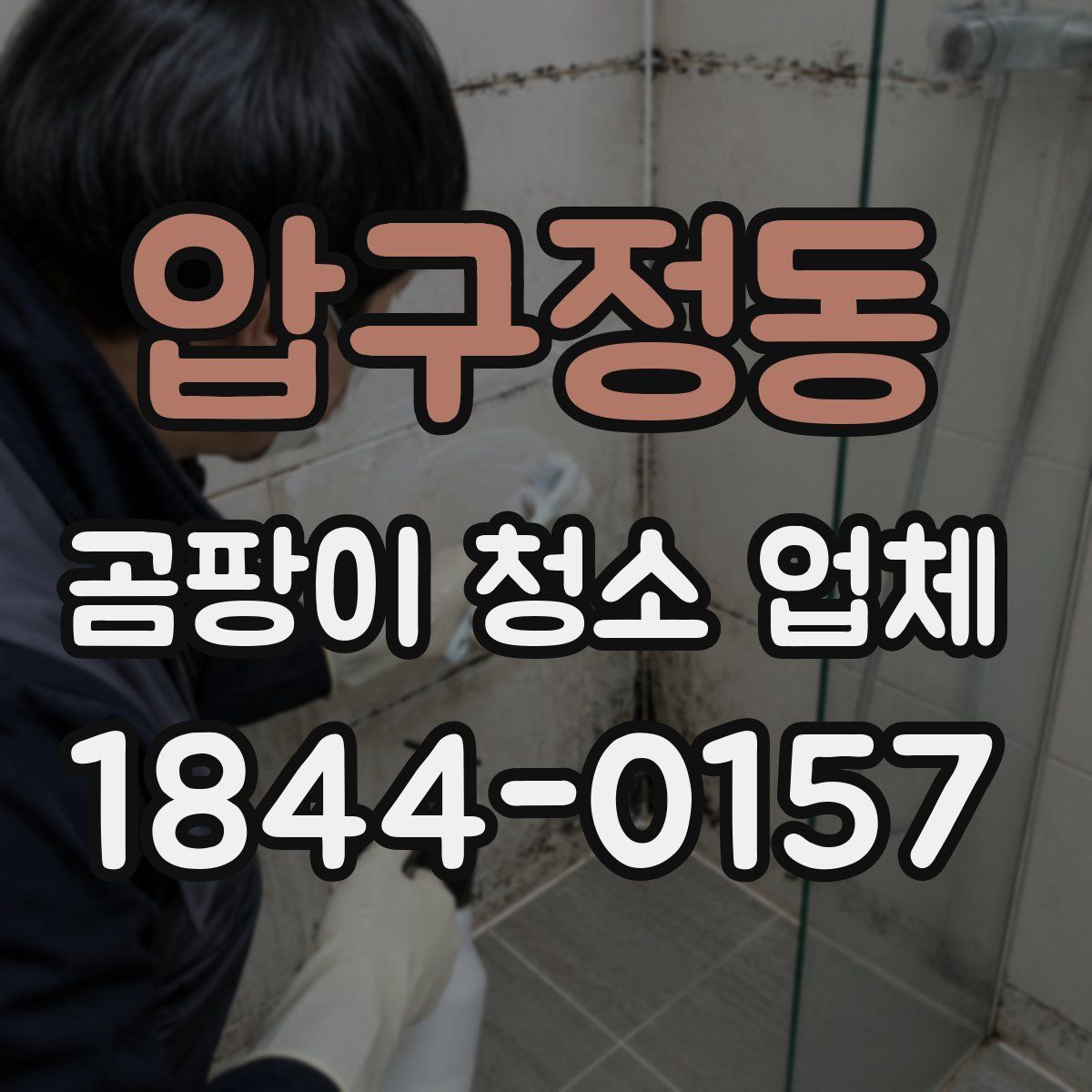 압구정동 곰팡이 청소 업체