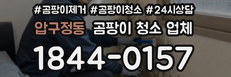 압구정동 곰팡이 청소 업체