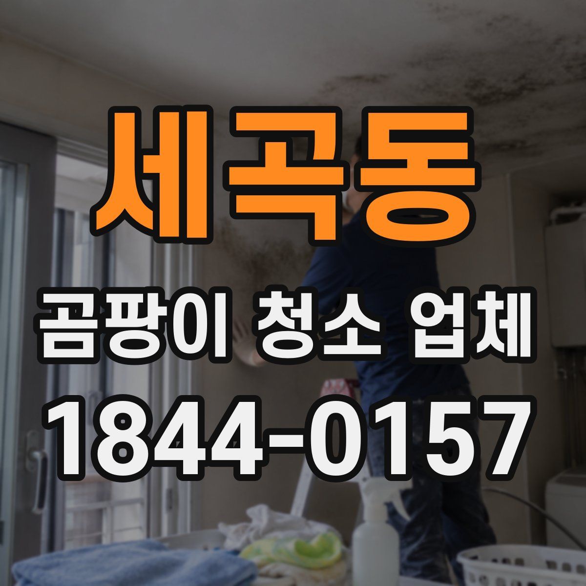 세곡동 곰팡이 청소 업체