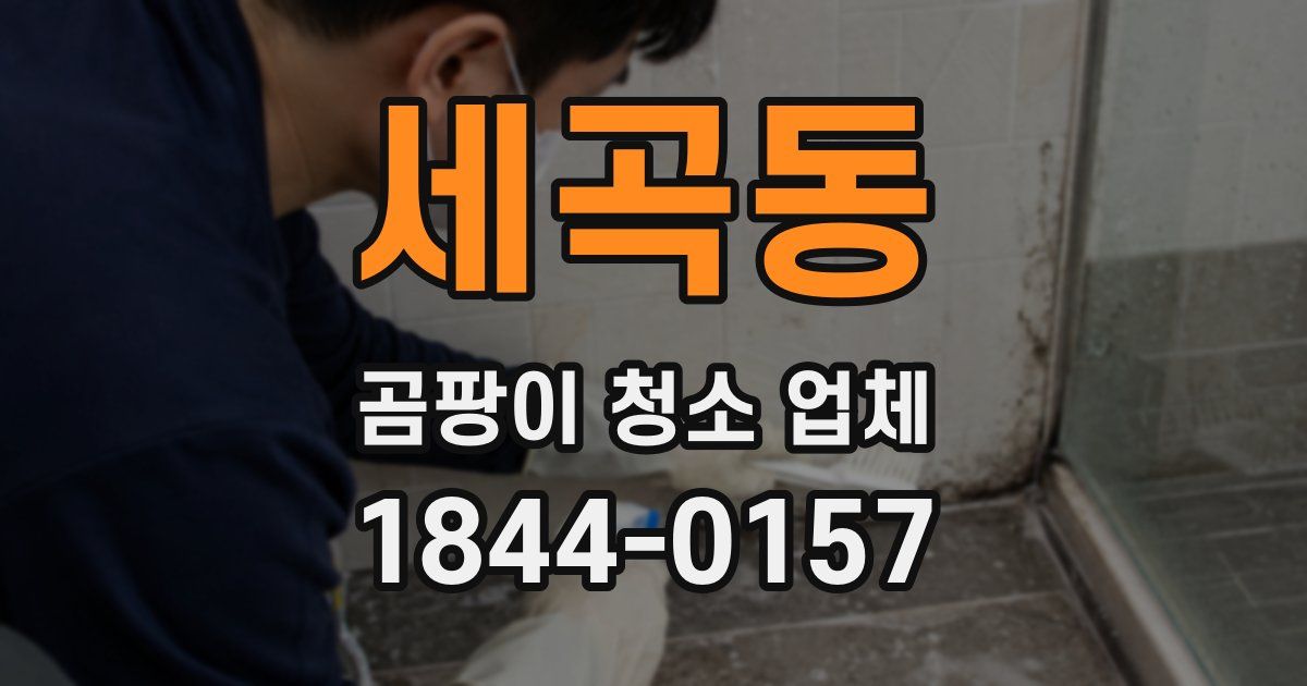 세곡동 곰팡이 청소 업체