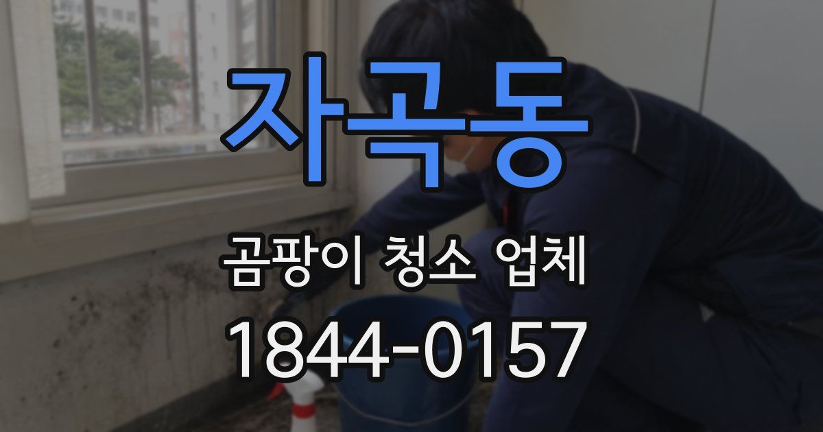 자곡동 곰팡이 청소 업체