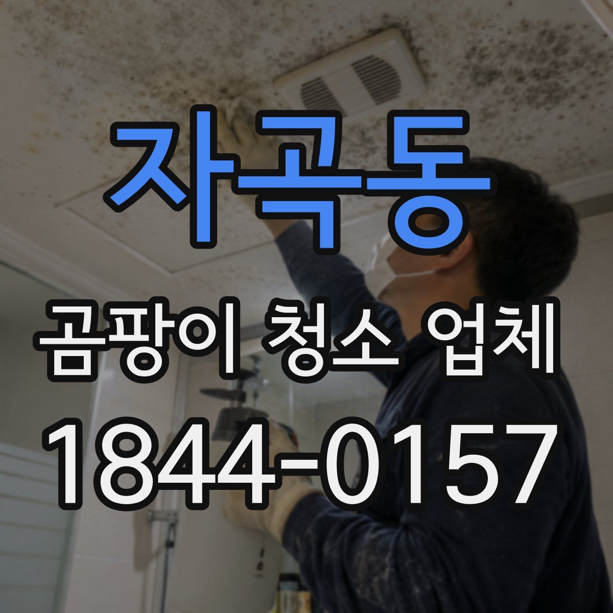 자곡동 곰팡이 청소 업체