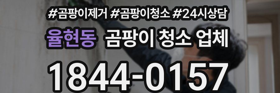 율현동 곰팡이 청소 업체