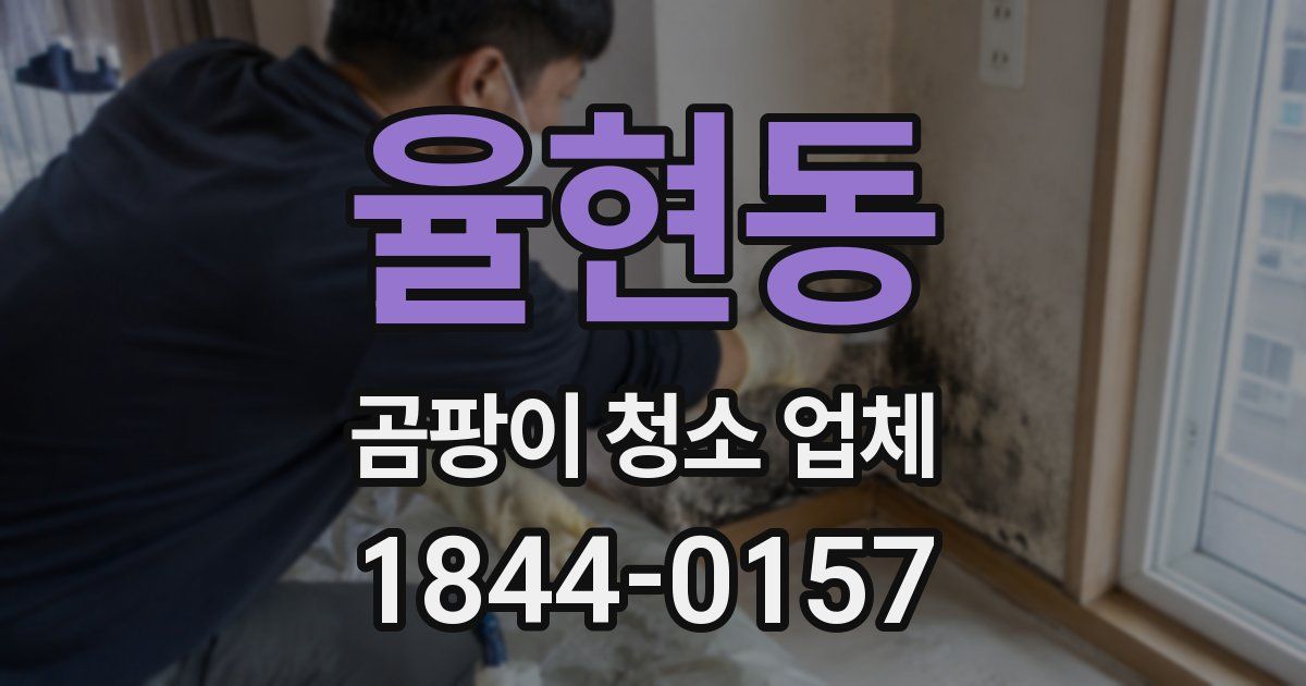 율현동 곰팡이 청소 업체