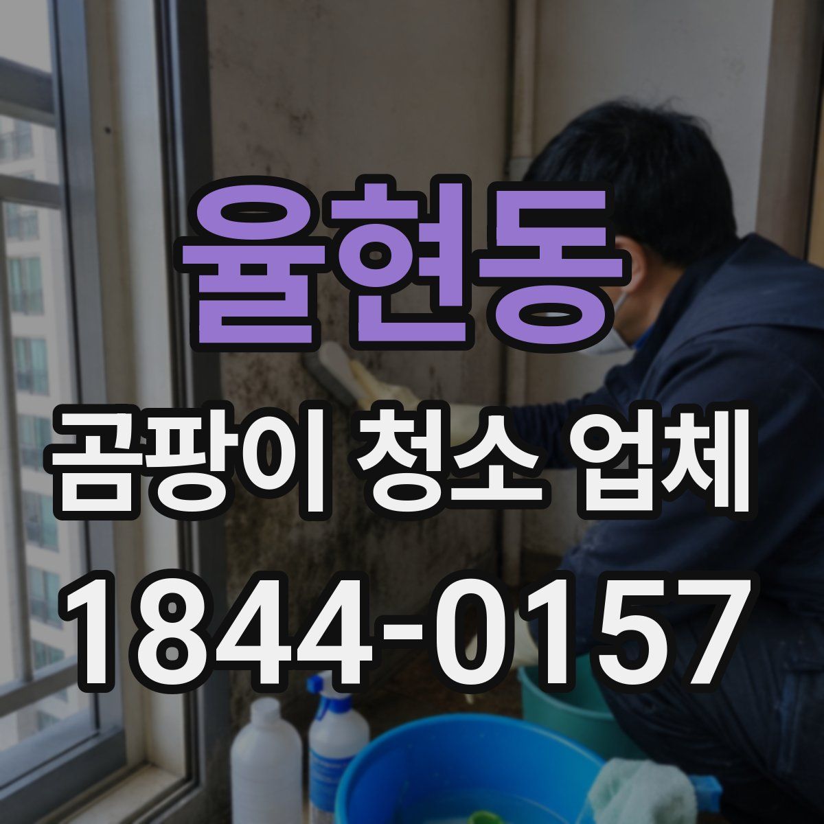 율현동 곰팡이 청소 업체