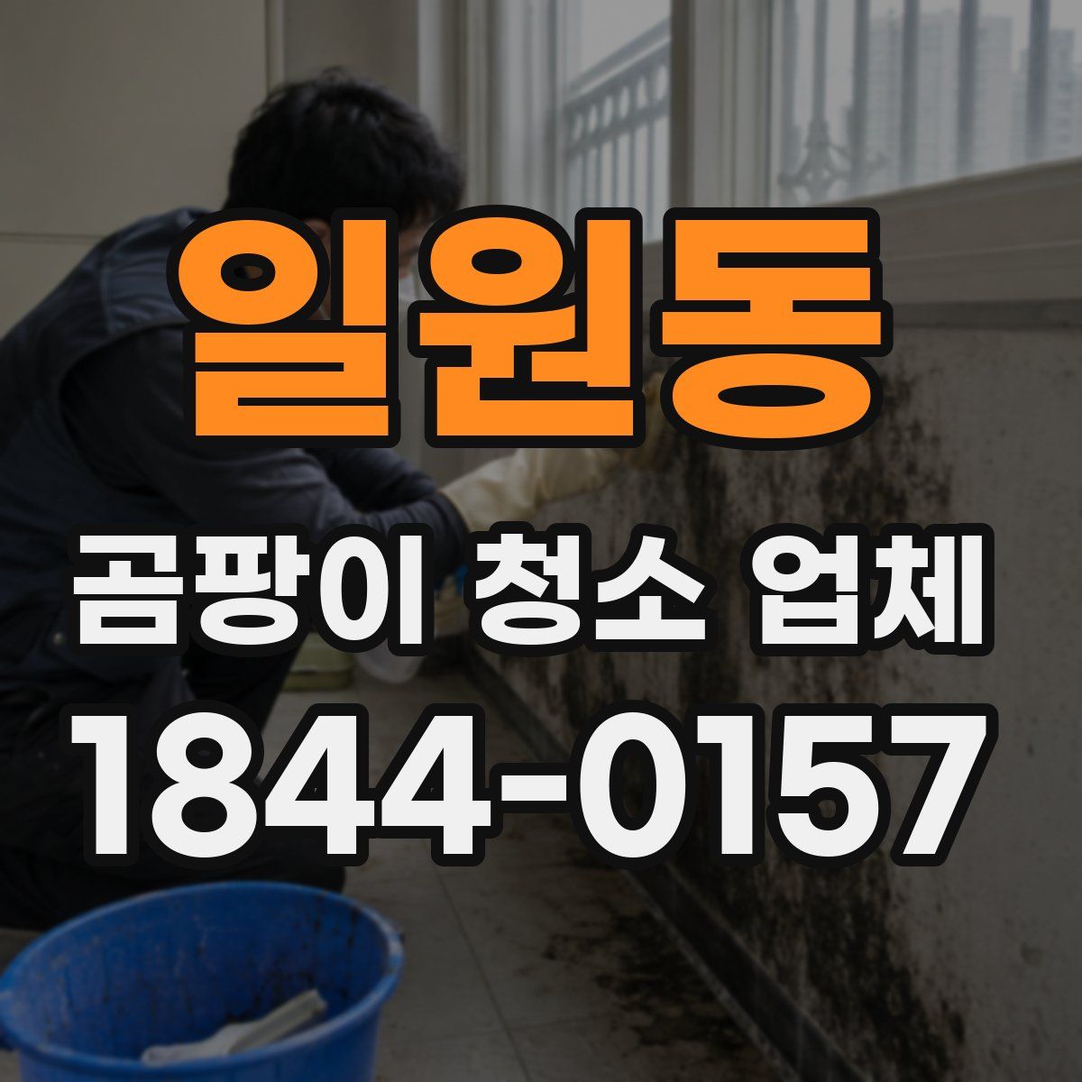 일원동 곰팡이 청소 업체