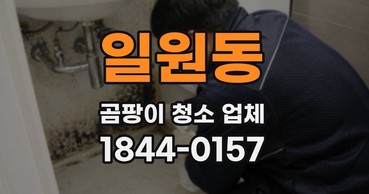 일원동 곰팡이 청소 업체