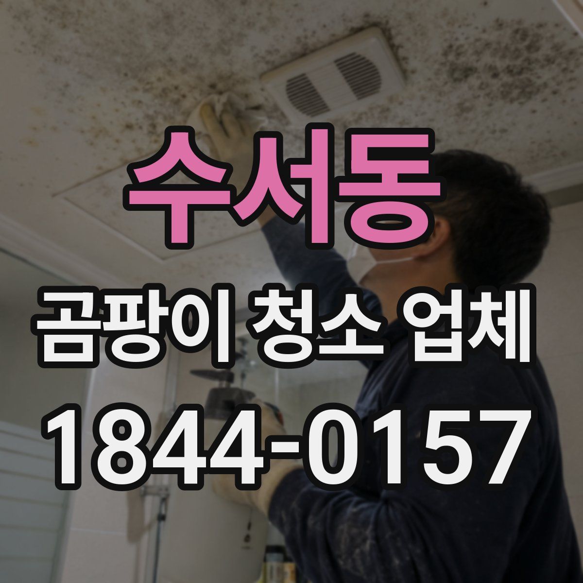 수서동 곰팡이 청소 업체